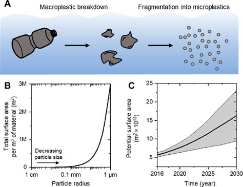 A Schematic Of Microplastic Breakdown In The Environment B Download Scientific Diagram