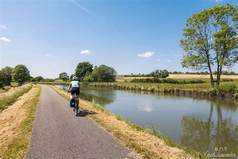 🛟 What to do on the Canal des Houillères de la Sarre?💧