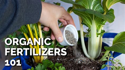 Video Demystifying Fertilizers With Epic Gardening Espoma Organic