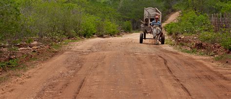 Por Que Nos Organizamos Em Cidades Planos De Aula Ano Geografia