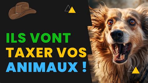 Maintenant Une Taxe Sur Vos Animaux