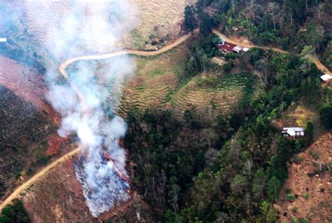 Provincia De JaÉn Registra El Mayor NÚmero De Incendios Forestales En La RegiÓn Rcr Peru