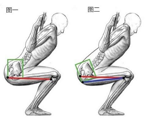 杠铃深蹲的标准动作及常见错误 运动经验本