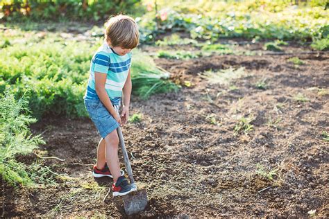 "Little Boy Digging In A Garden" by Stocksy Contributor "Bryan Rupp" - Stocksy