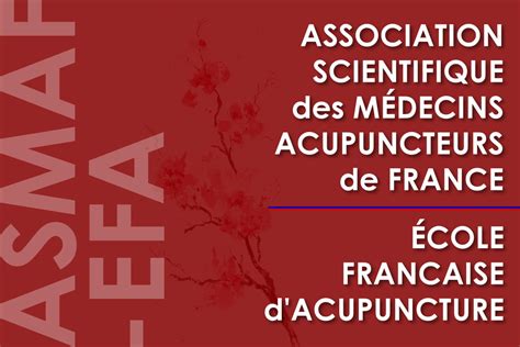 ASMAF EFA Séminaire Intérêt de lélectro acupuncture dans les soins