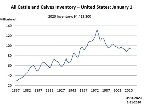 National Beef Wire Cattle Inventory Highlights