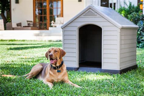 Caseta Para Perro Terraza Suelo Elevado Aticos Exteriores Caseta Exterior