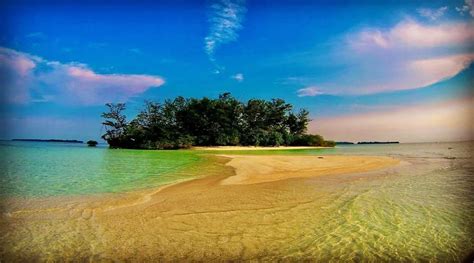 Rumput Laut Pulau Seribu Sumber Ekonomi Dan Wisata Pulau Seribu