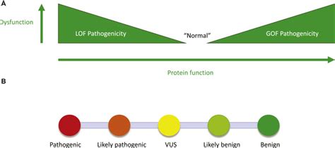 The Scary World Of Variants Of Uncertain Significance Vus A