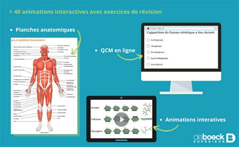 Amazon Fr Manuel D Anatomie Et De Physiologie Humaines Tortora