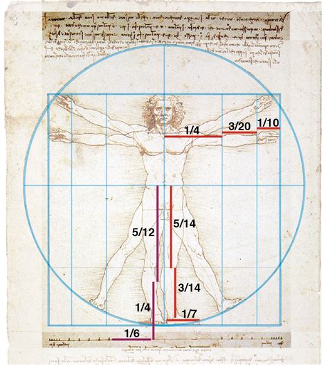Золотое сечение в мебели пропорции 89 фото