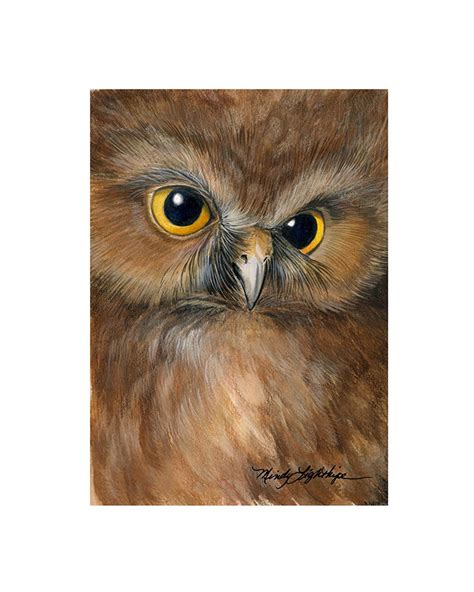 Owl By Mindy Lighthipe Ink 7 X 5 Wildlife Art Owl” The Art Of Nature