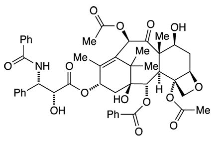 Paclitaxel American Chemical Society