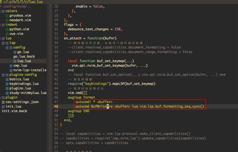退出自动格式化文档怎么配置呢 Issue 29 nshen learn neovim lua GitHub