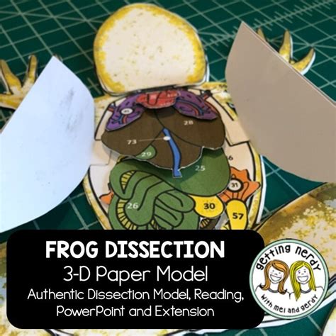 Frog dissection steps - indimg