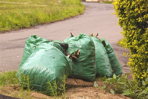 Many Orange Garbage Bags At Curb Stock Image Image Of Orange Clean