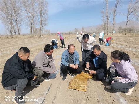 张掖市农业科学研究院 国家糖料体系岗位科学家郑文哲研究员来我院指导国产甜菜种子繁育研究工作