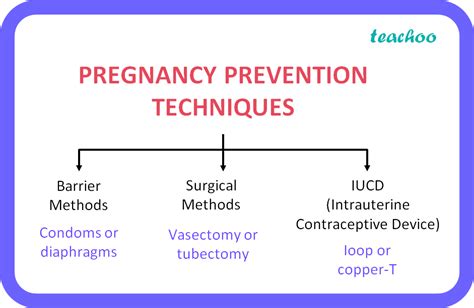 List Three Techniques That Have Been Developed To Prevent Pregnancy