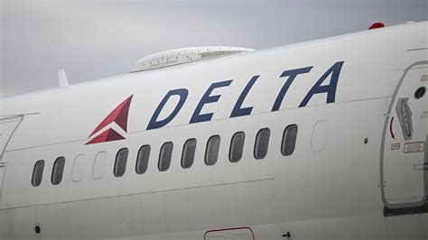 Delta Air Lines Flight Delayed For Hours After Bees Attempt To Hitch A Ride