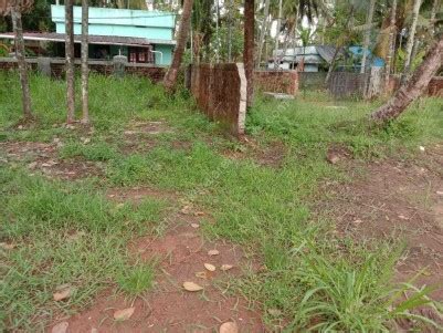 20 Cents Of Residential Land For Sale At Edavanakkad Vypin Ernakulam