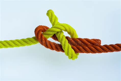 Sheet bend knot stock image. Image of becket, tied, line - 2974491