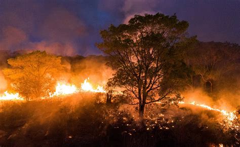 Entenda Por Que O Inc Ndio Se Espalha Na Amaz Nia E Pantanal Mh Geral