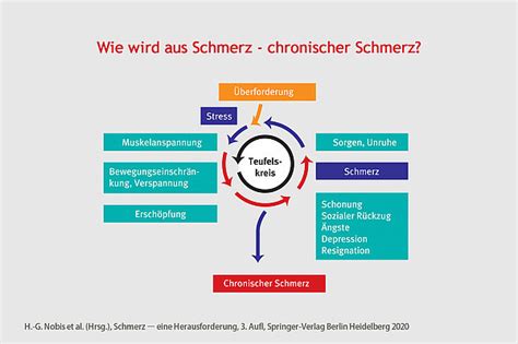 Stress Und Schmerz Wie Man Den Teufelskreis Durchbricht R Ckhalt