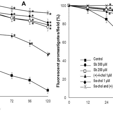 Chemical structure of sterols studied A 5α cholest 7 en 3β ol