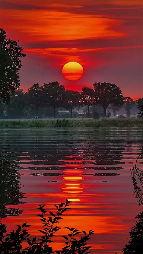 唯美夕阳风景手机动态壁纸 风景手机壁纸下载 元气壁纸