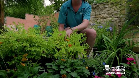 Full Sun Garden Bed Tips Nelson Water Gardens And Nursery