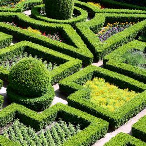 Formal Garden Design Landscape With Hedges At InstantHedge