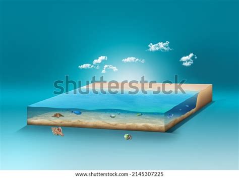 45987 Beach Slice Images Stock Photos And Vectors Shutterstock