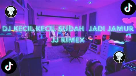 Dj Gak Ada Waktu X Kecil Kecil Sudah Jadi Jamur X Santai Aja Cuy X