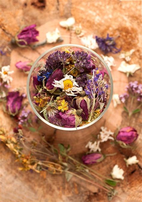 Dried Herbs And Flowers Stock Photo Image Of Aromatic 44031284