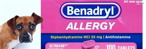 What Is The Right Benadryl Dosage For Dogs