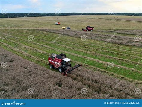 Combine Harvester On Harvesting Oilseed In Field Aerial View Of