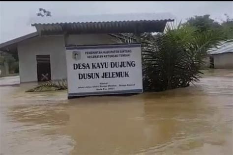 14 Kecamatan Di Sintang Kalbar Terendam Banjir 1 Jembatan Gantung Hanyut