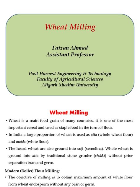 Wheat Milling | PDF | Flour | Wheat