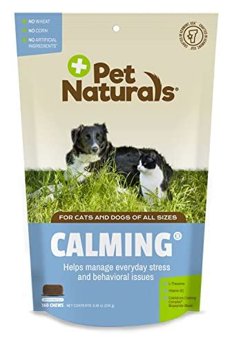 Whats The Best Calming Supplement For Dogs Top 8 Vet Approved Treats