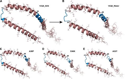 Frontiers α Synuclein An All Inclusive Trip Around Its Structure