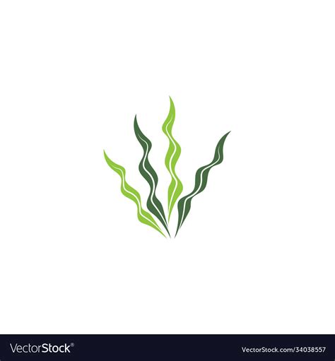 Seaweed Template Royalty Free Vector Image Vectorstock