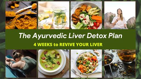 The Ayurvedic Liver Detox Programme Medhya Herbals