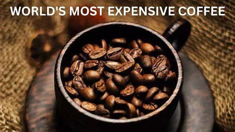 Top 10 Most Expensive Coffees In The Worldthe10chronicles Youtube