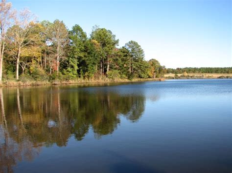 The Blue Heron Lake Nature Conservancy Preservaton