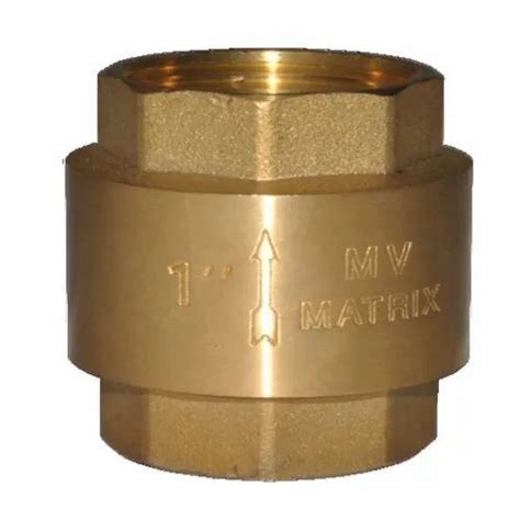 Golden Gunmetal Vertical Check Valve Valve Size 1 Inch At Rs 200 In