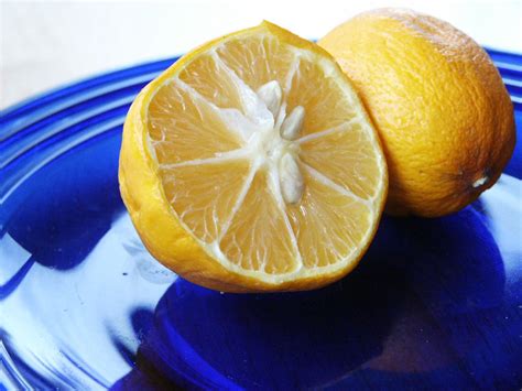 Meyer Lemons Free Photo Download | FreeImages