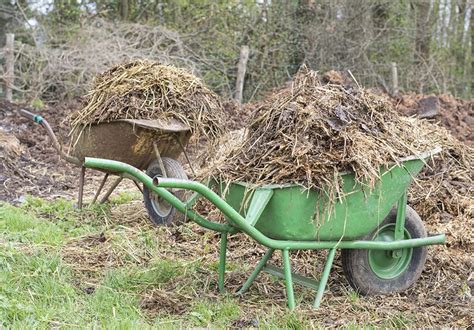 Permaculture Comment Monter Une Butte En Lasagne