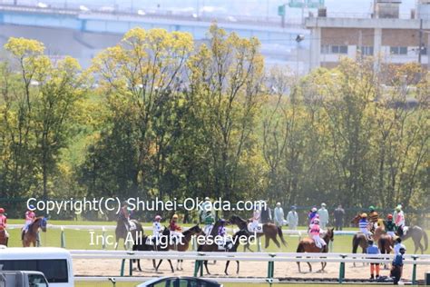 第54回マイラーズカップ Cルメール騎乗・シュネルマイスター優勝 The 岡田修平