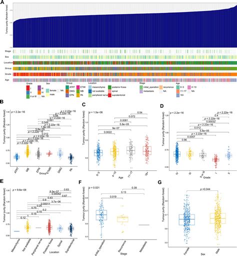 Frontiers An Integrated Analysis Of Tumor Purity Of Common Central