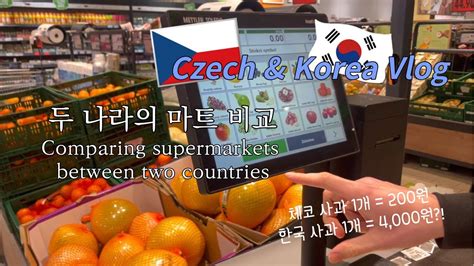 Czech Korea Vlog Comparing Supermarkets Between Czech